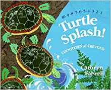 Subtraction Read Aloud: Turtle Splash!