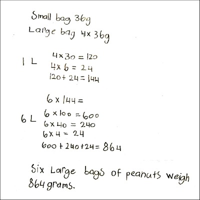 4th Grade Math Journal Task 9